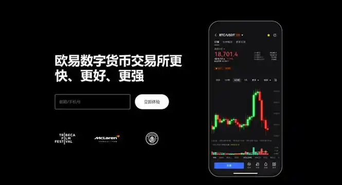GOpay钱包下载平台展示图